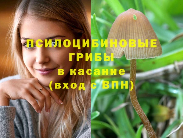 прущие грибы Белоозёрский