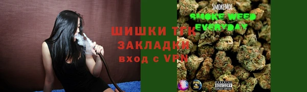 прущие грибы Белоозёрский