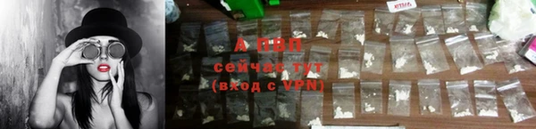 спайс Белокуриха