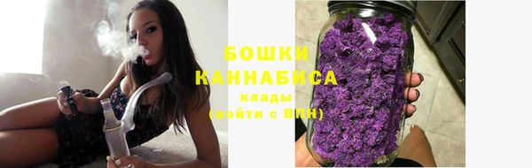 спайс Белокуриха