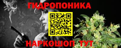 молекула духа Бийск