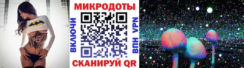 Галлюциногенные грибы Psilocybe  хочу   Бугульма 