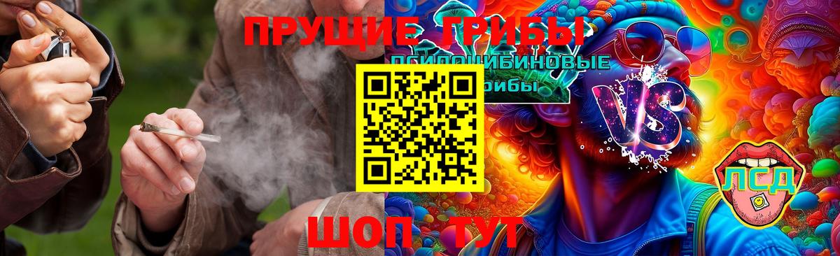 Псилоцибиновые грибы мухоморы Бугульма
